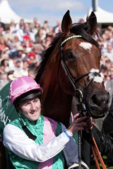 Racing Collection: Frankel at the 2012 Ebor Festival