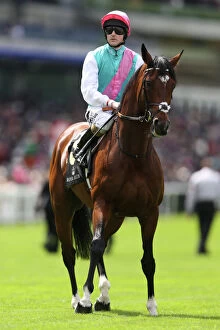Horse Racing Framed Print Collection: Frankel ridden by Tom Queally - Royal Ascot 2012