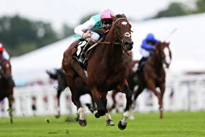 Racing Collection: Frankel on the way to winning the Queen Anne Stakes