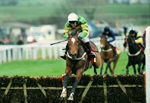 Horse Racing Framed Print Collection: Istabraq wins the Champion hurdle during the 1998 Cheltenham Festival