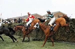 Valentine's Day Collection: L Escargot jumps Valentines during the 1975 Grand National