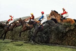 Racing Fine Art Print Collection: Red Rum rides in the 1975 Grand National