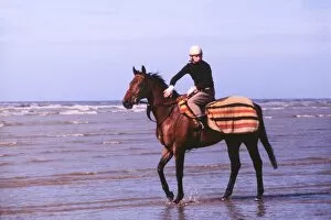 Huntly Collection: Red Rum in the sea off Southport beach