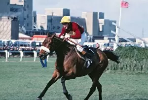 Horse Racing Jigsaw Puzzle Collection: Tommy Stack and Red Rum race to the line to win the 1977 Grand National