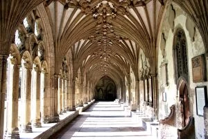 Canterbury Poster Print Collection: Cloisters of Canterbury Cathedral, Canterbury, Kent, England
