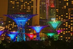Supertrees Collection: Coloured Supertree Grove, Gardens by the Bay, Singapore