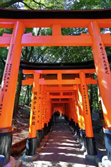 Temple Collection: Red torii gate tunnel at Fushimi Inari Shinto shrine in Kyoto, Japan