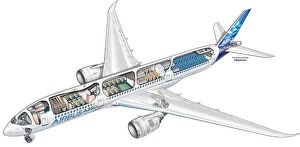 Cutaways Premium Framed Print Collection: Airbus A350