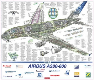 Cutaway Posters Canvas Print Collection: Airbus A380-800 Cutaway Poster