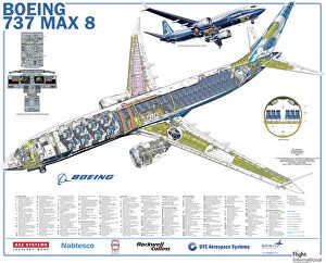 Boeing Jigsaw Puzzle Collection: Boeing 737 Max 8
