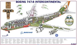 Boeing Pillow Collection: Boeing 747-8 Cutaway