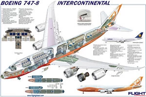 Boeing Cutaway Premium Framed Print Collection: Boeing 747-8 Cutaway Poster
