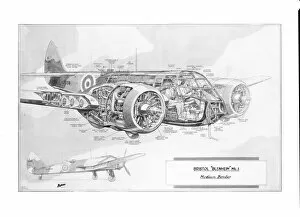 Bristol Collection: Bristol Blenheim Mk1 Cutaway Drawing