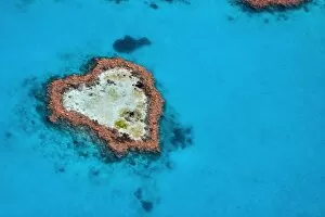 Australia Fine Art Print Collection: An aerial view of Heart Reef