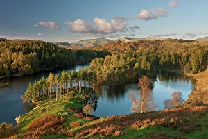 Lakes Photographic Print Collection: Autumn colours at Tarn Hows nearr Hawkshead, Lake District, Cumbria, England