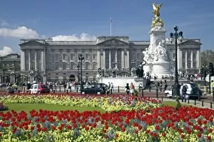 Queen Victoria Queen Victoria Canvas Print Collection: Buckingham Palace is the official London residence