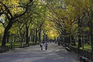 Central Park Collection: A couple walk through Central Park enjoying the autumn colours