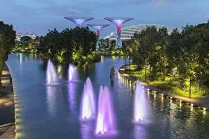 Supertrees Collection: Dragonfly Lake and Supertrees, Gardens by the Bay, Singapore City, Singapore