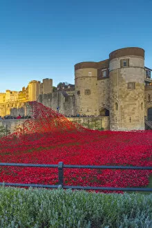 Tower Of London Collection: England, London, Tower of London, Blood Swept Lands and Seas of Red by ceramic artist