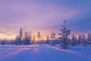 Landscape paintings Canvas Print Collection: Europe, Lapland, Finland: sunset on the woods in Rovaniemi area