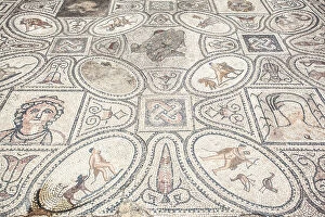 Mosaic Collection: The floor mosaic representiong the 'Exploits of Hercules' in the ancient Roman ruins of Volubilis