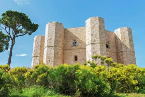 Rural Landscape Collection: Low angle view of the white castle of Castel del Monte among yellow flower