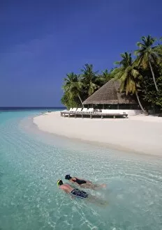 Indian Ocean Collection: Maldives, Indian Ocean
