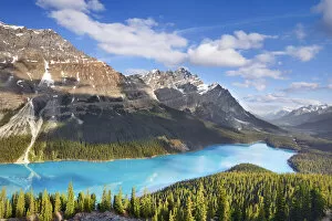 Nature-inspired art Canvas Print Collection: Mountain landscape with Mount Patterson at Peyto Lake - Canada, Alberta