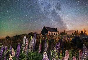 Quiet Collection: Night view of the Church of the Good Shepherd by Tekapo Lake with lupins in bloom