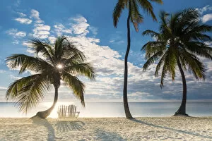 Tranquility Collection: Palm Trees & Love Seat, Islamorada, Florida Keys, USA