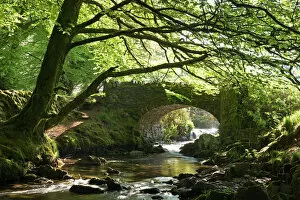 Landscape paintings Photo Mug Collection: Picturesque Robbers Bridge near Oare, Exmoor, Somerset, England. Spring (May)