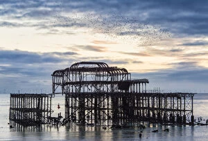 Related Images Pillow Collection: Starling murmuration above Brighton West Pier, East Sussex, England