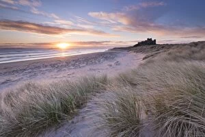 Scenic landscapes Metal Print Collection: Sunrise over Bamburgh Beach and Castle from the sand dunes, Northumberland, England
