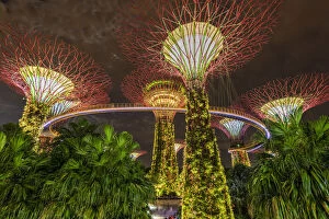 Downtown Core Collection: The Supertree Grove light show at Gardens by the Bay nature park, Singapore