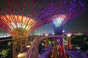 Supertrees Collection: Supertrees at Gardens by the Bay, illuminated at night, Singapore, Southeast Asia