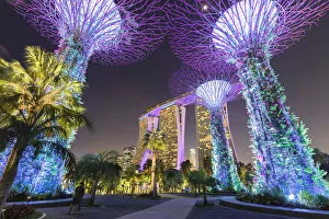 Supertrees Collection: Supertrees and Marina Bay Sands, Gardens by the Bay, Singapore City, Singapore