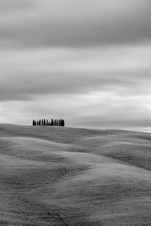 Val d'Orcia Photographic Print Collection: Tuscan landscape, rolling hills with wheat fields and cypress trees, San Quirico