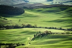 Historic Centre of the City of Pienza Collection: Tuscany, spring landscape, rolling hills at sunset, Val d Orcia, Italy
