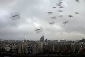 Aerial Views Collection: A flock of birds fly during a rainfall in Gdynia