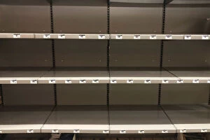 30 Aug 2019 Jigsaw Puzzle Collection: Empty shelves for headlights, lanterns and other supplies are seen at a Home Depot store