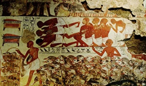 Tomb Collection: Mural from tomb-chapel of Nebamun at Thebes Egypt. Nebamun was an Ancient Egyptian Nobleman