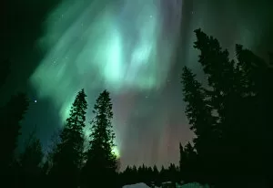 Aurora Borealis Photo Mug Collection: Northern Lights / Aurora Borealis, Kuusamo Finland, winter