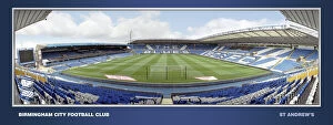 St Andrews Collection: St Andrews Framed Panoramic Empty Behind Goal