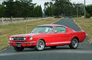 Cars Collection: 1965 Ford Mustang GT Fastback - Red