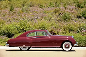 Walled Collection: Bentley R-Type Continental Fastback