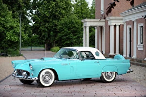 Ford Pillow Collection: Ford Thunderbird 1955 Blue & white