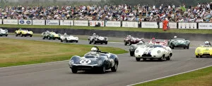 Racer Collection: Goodwood Revival Classic racing cars