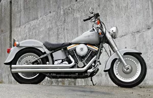 Davidson Collection: Harley Davidson Fatboy