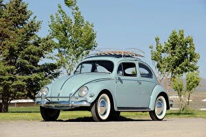 Rounded Collection: Volkswagen VW Beetle