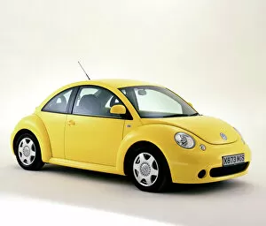 Contemporary art Collection: Volkswagen VW Beetle